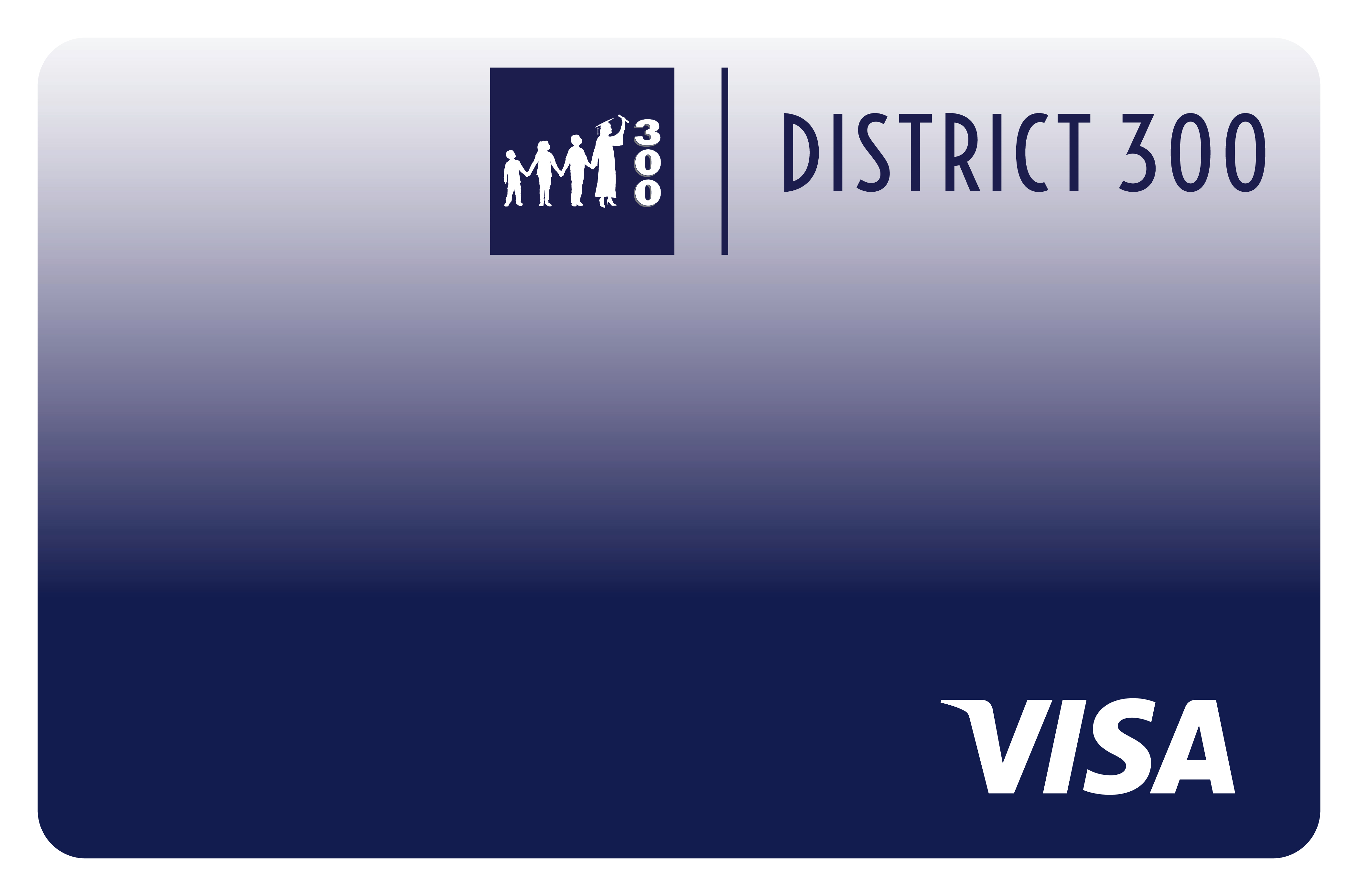 District 300